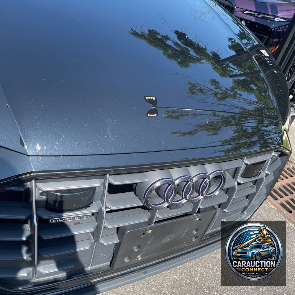 2023 Audi Q8 Premium Plus 55 TFSI