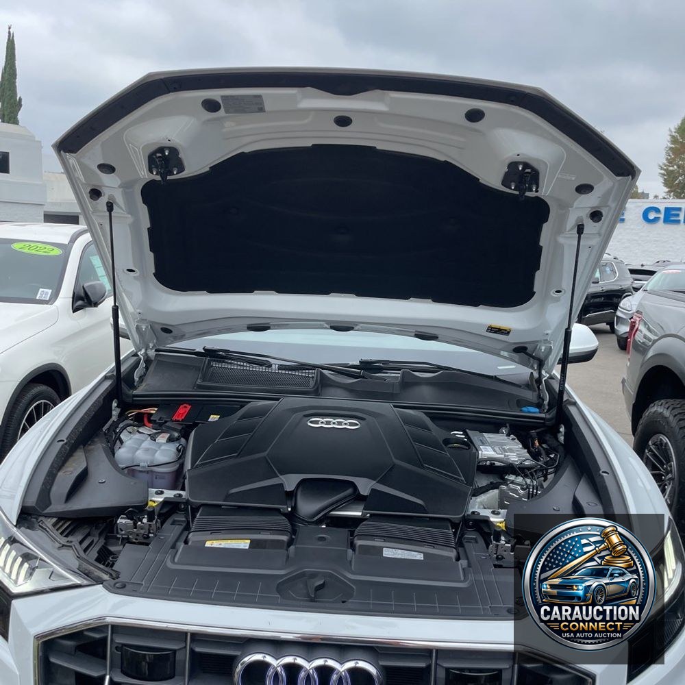 2023 Audi Q8 Premium Plus 55 TFSI