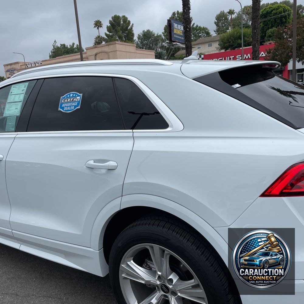 2023 Audi Q8 Premium Plus 55 TFSI