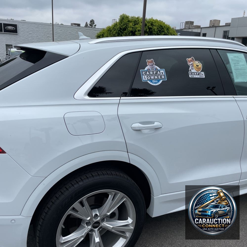 2023 Audi Q8 Premium Plus 55 TFSI