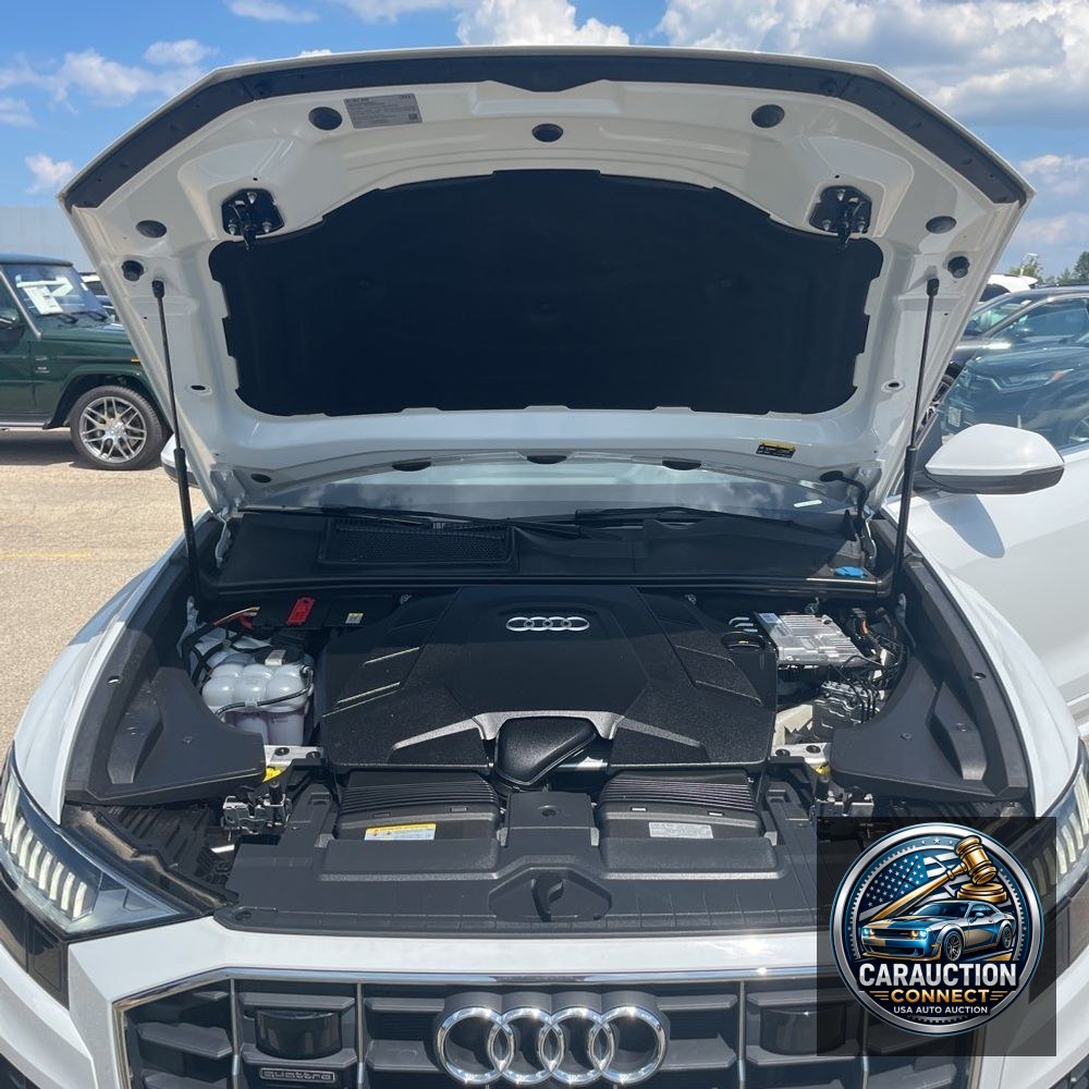 2023 Audi Q8 Premium Plus 55 TFSI
