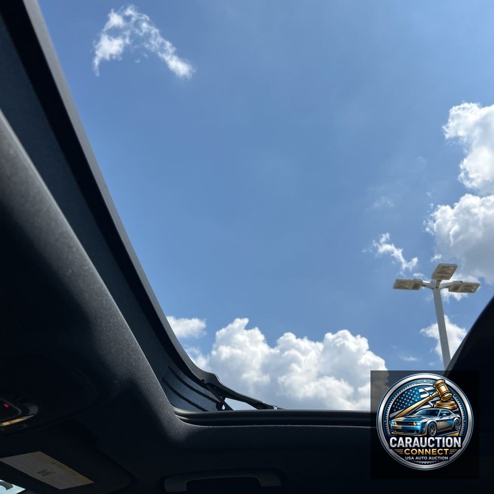 2024 Audi Q8 Prestige 55
