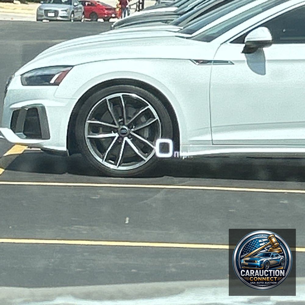 2024 Audi Q8 Prestige 55