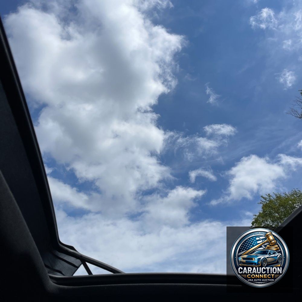 2024 Audi Q5 S-Line Prem+ 55 PHEV