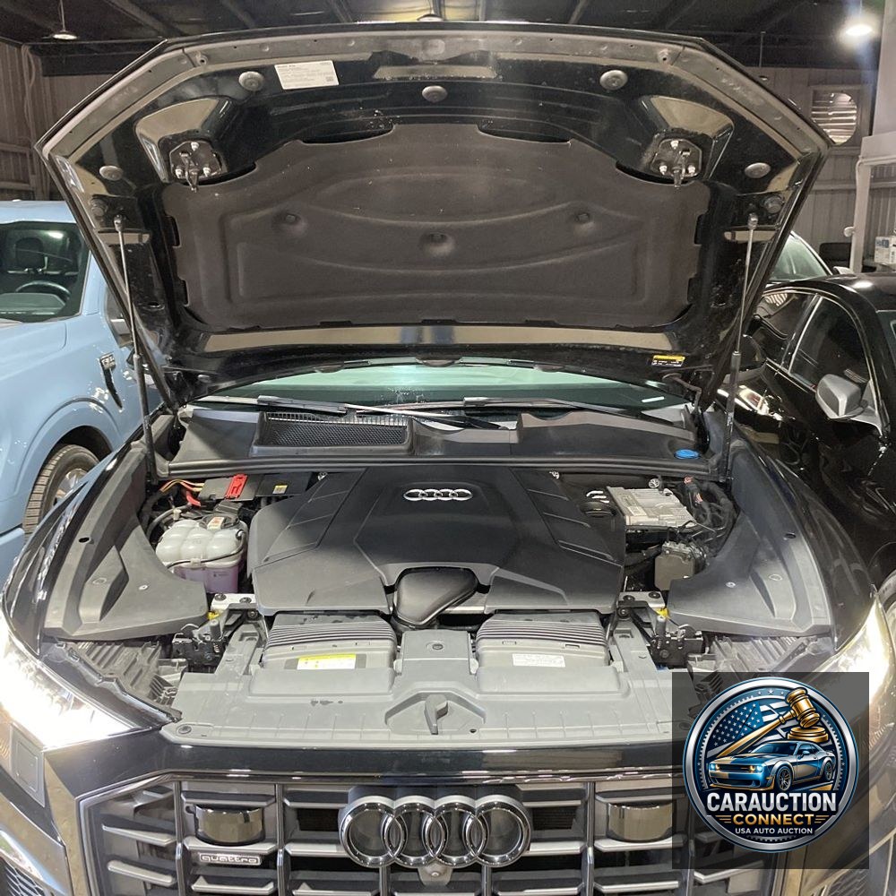 2022 Audi Q8 Premium Plus 55 TFSI