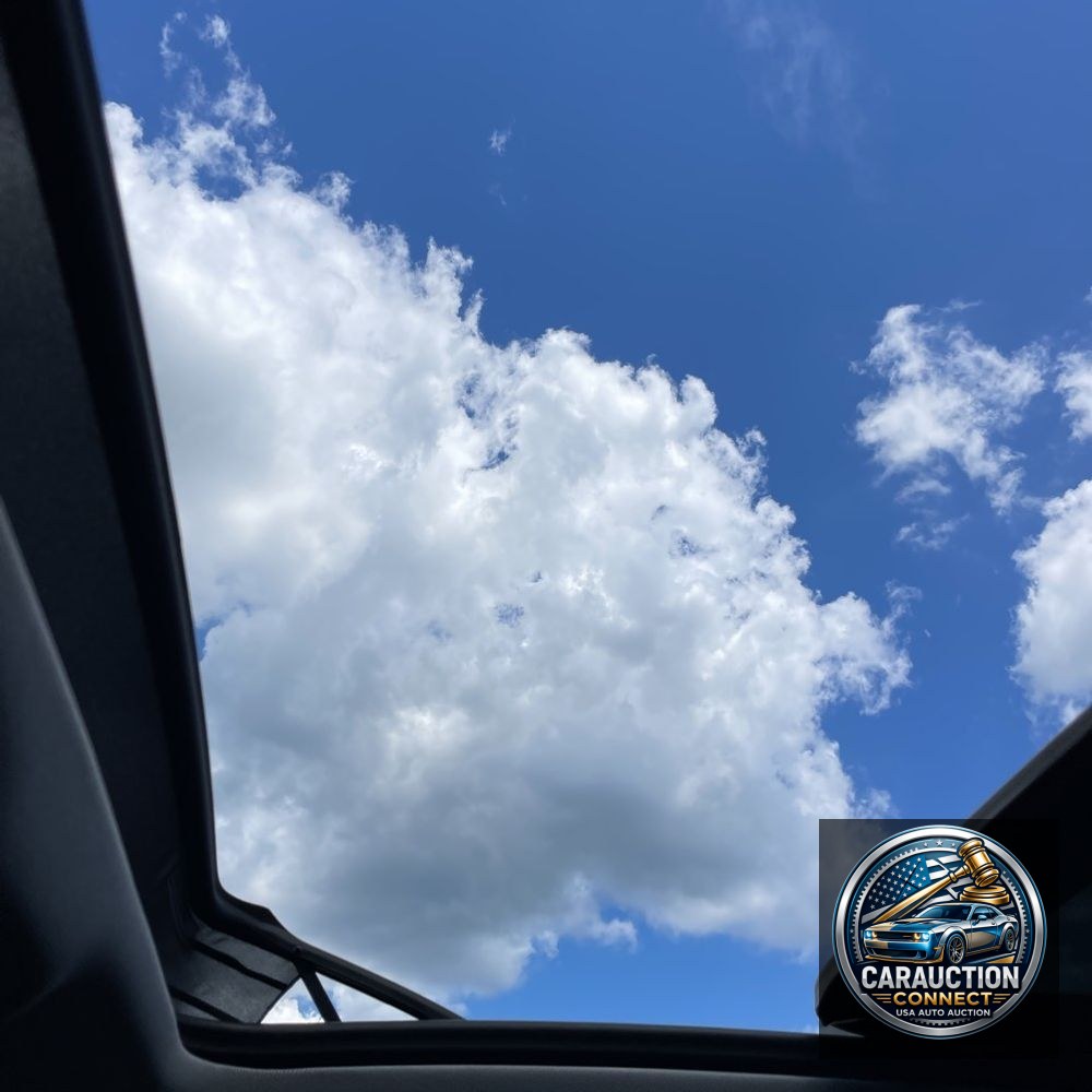 2024 Audi Q5 S-Line Pres 55 PHEV