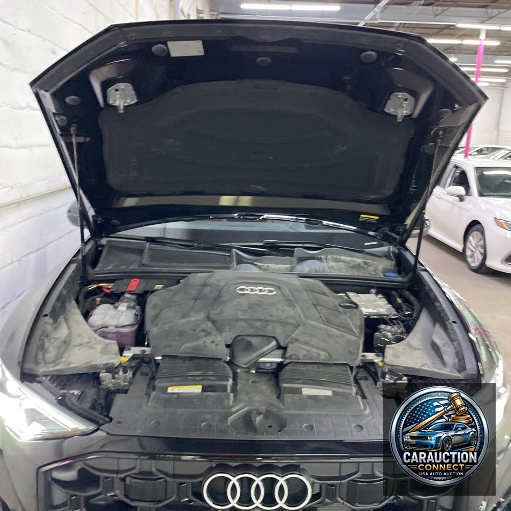 2025 Audi Q8 Prestige 55