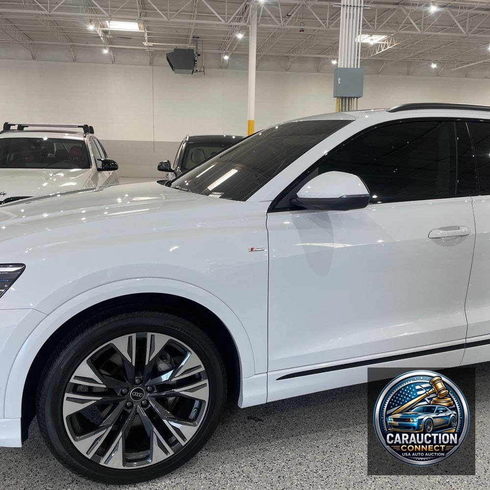2025 Audi Q8 Prestige 55
