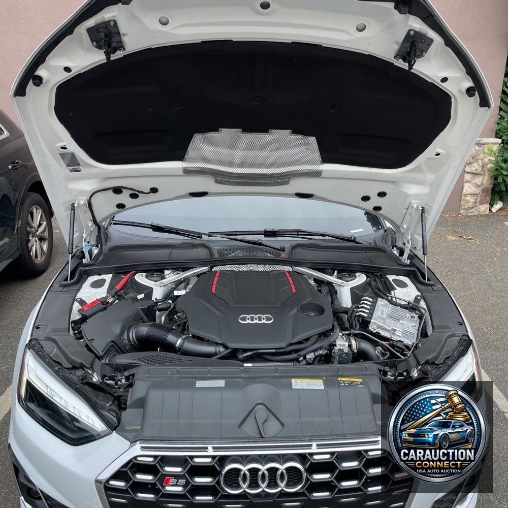 2024 Audi S5 Premium Plus