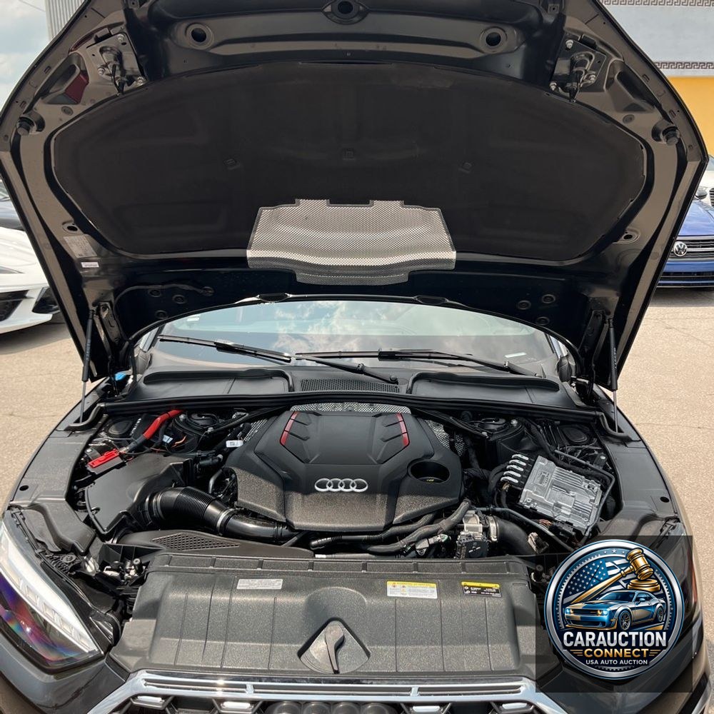 2024 Audi S5 Premium Plus