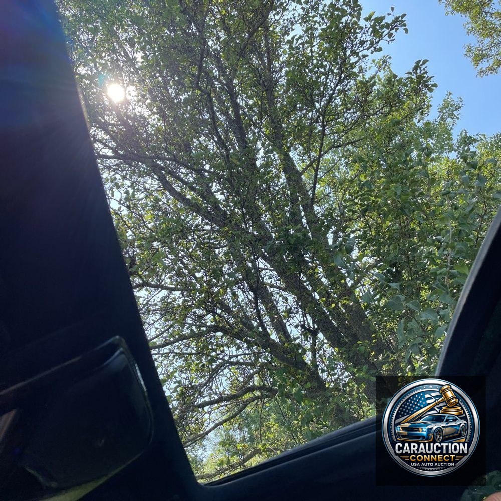 2021 BMW 5-Series M550xi