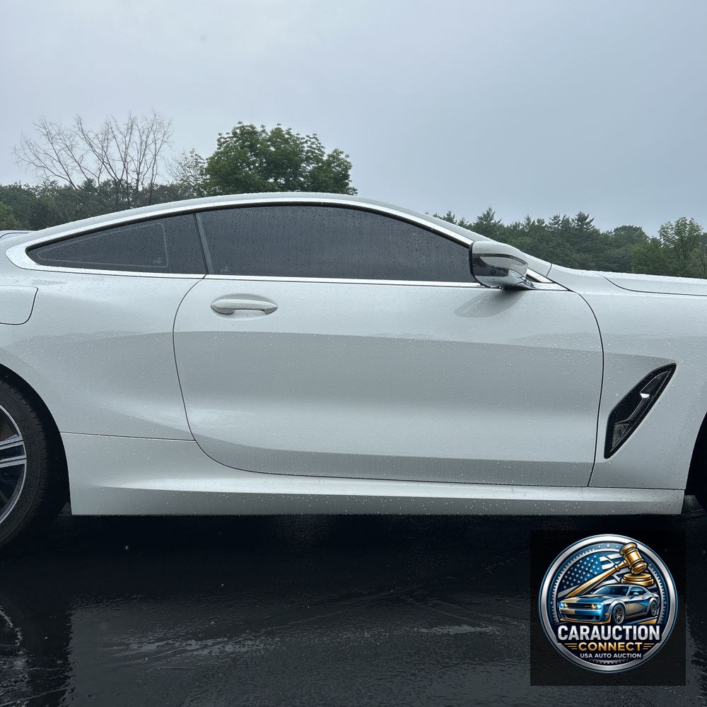 2019 BMW 8-Series M850xi