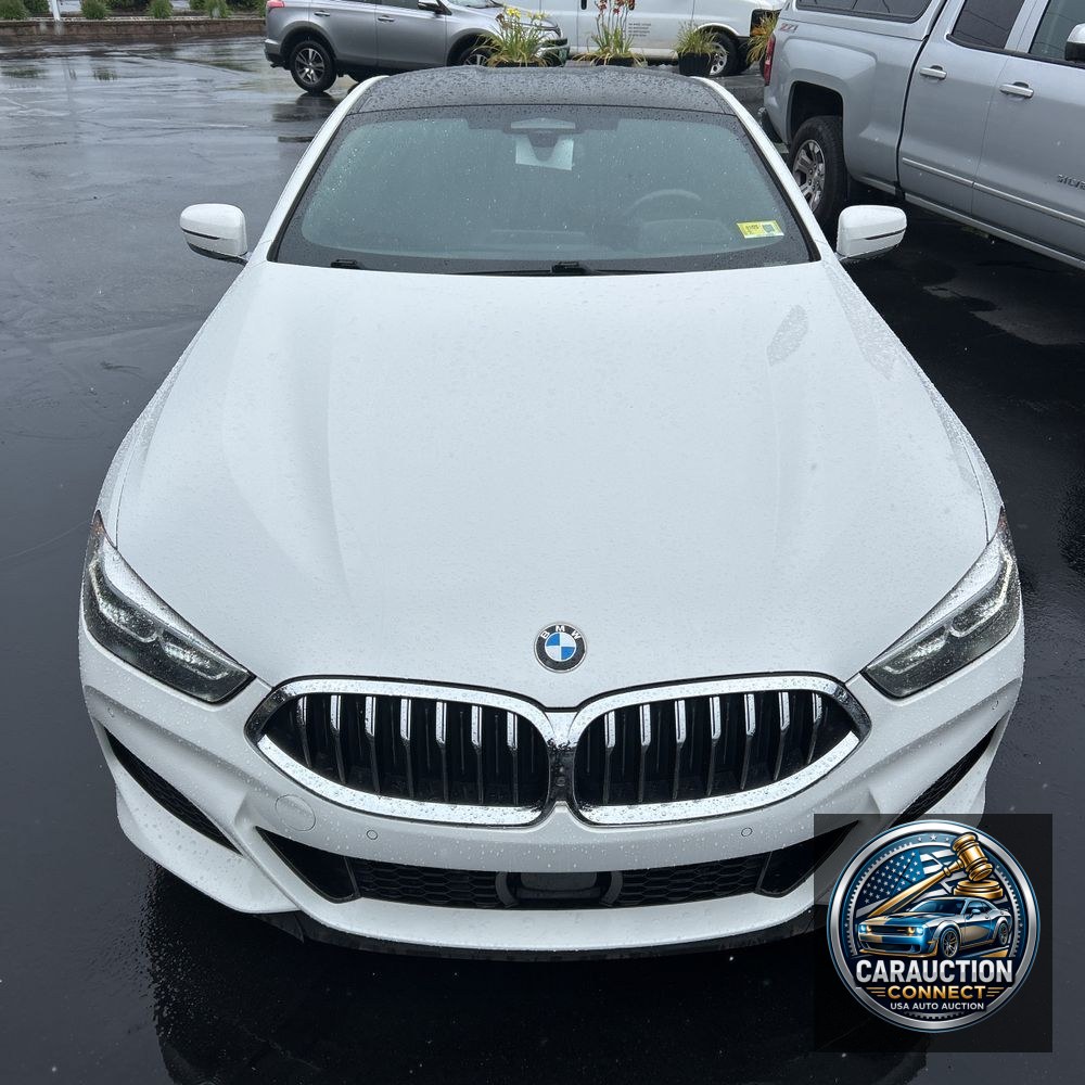 2019 BMW 8-Series M850xi