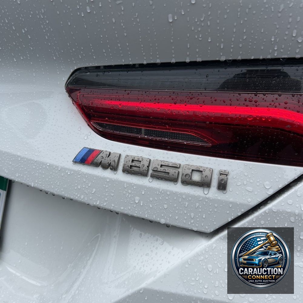 2019 BMW 8-Series M850xi