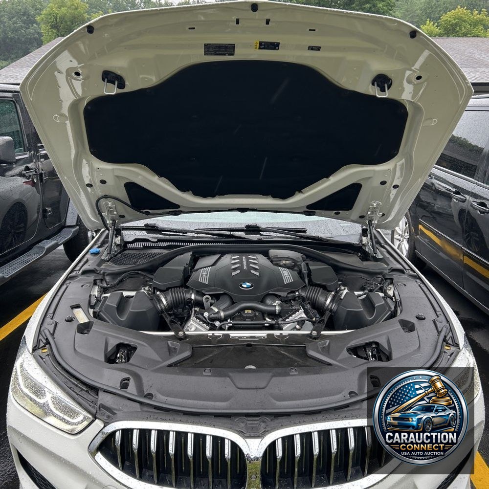 2019 BMW 8-Series M850xi