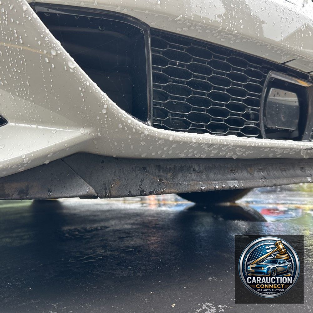 2019 BMW 8-Series M850xi