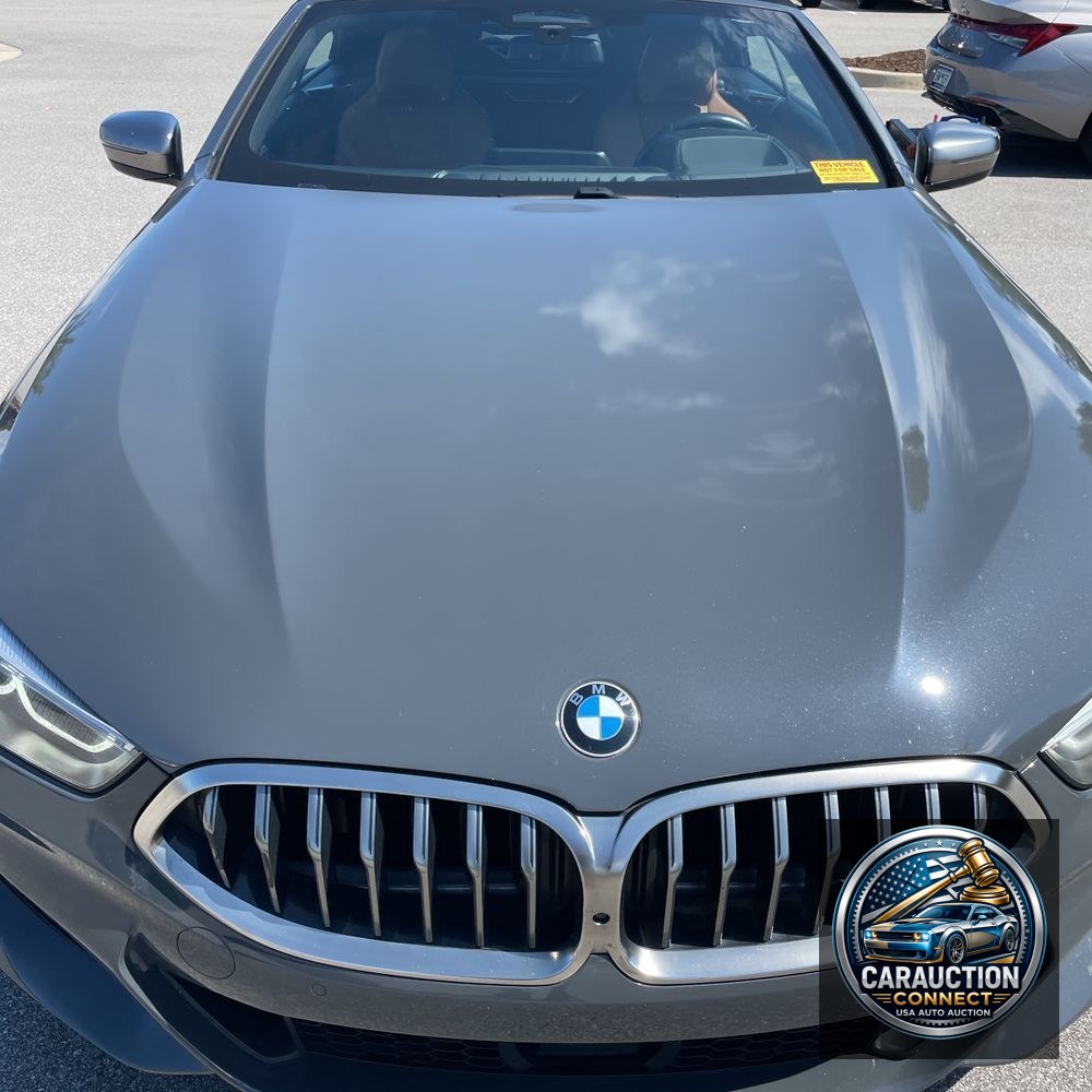 2019 BMW 8-Series M850xi