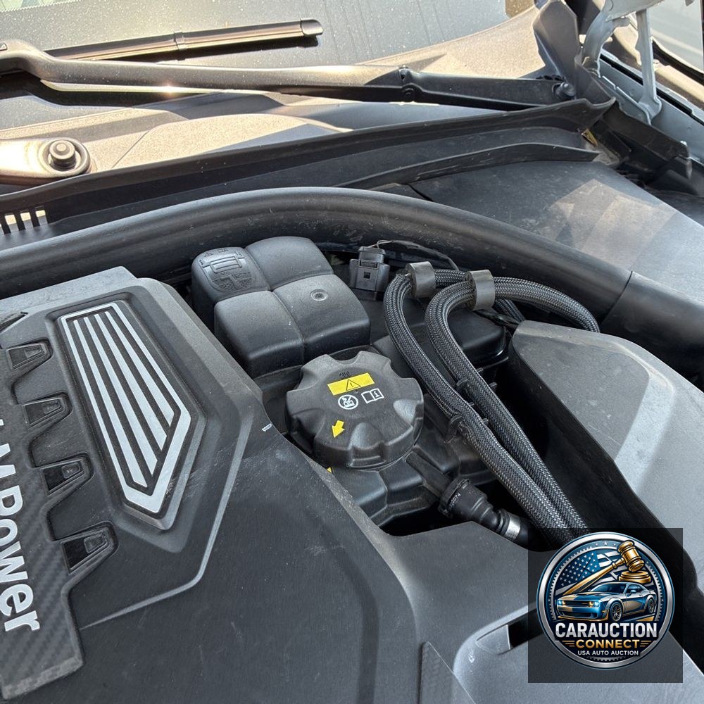 2023 BMW M8 Competition Grn Cpe