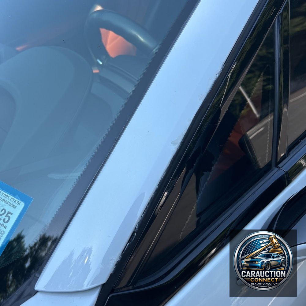 2019 BMW i8