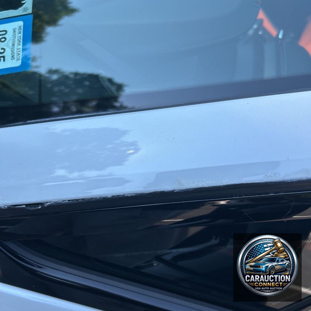 2019 BMW i8