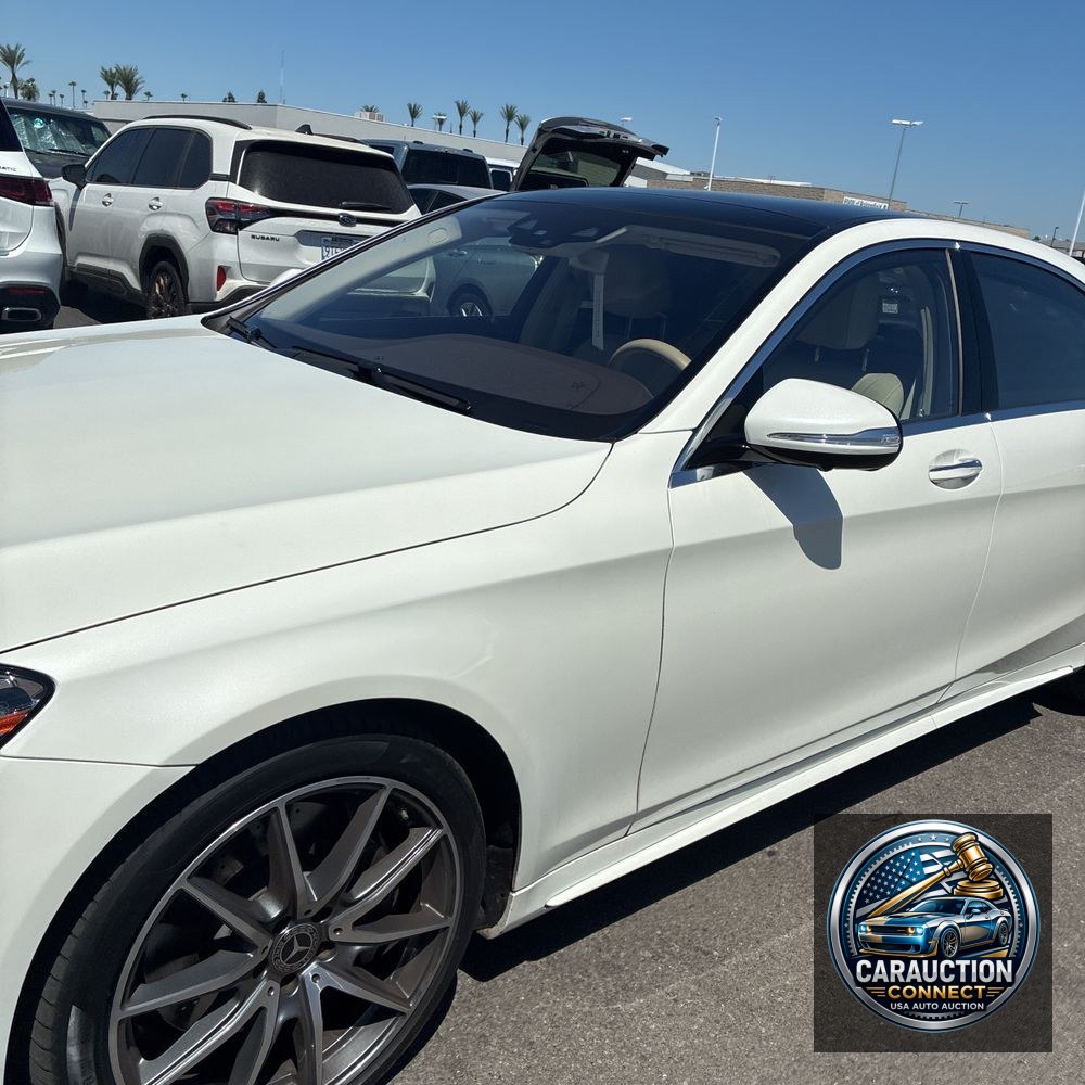 2019 Mercedes-Benz S-Class S 560