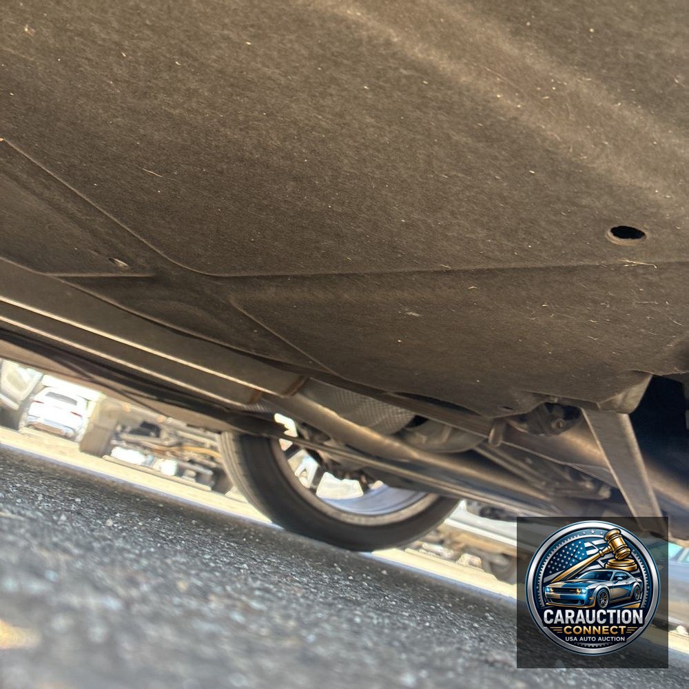 2019 Mercedes-Benz S-Class S 560
