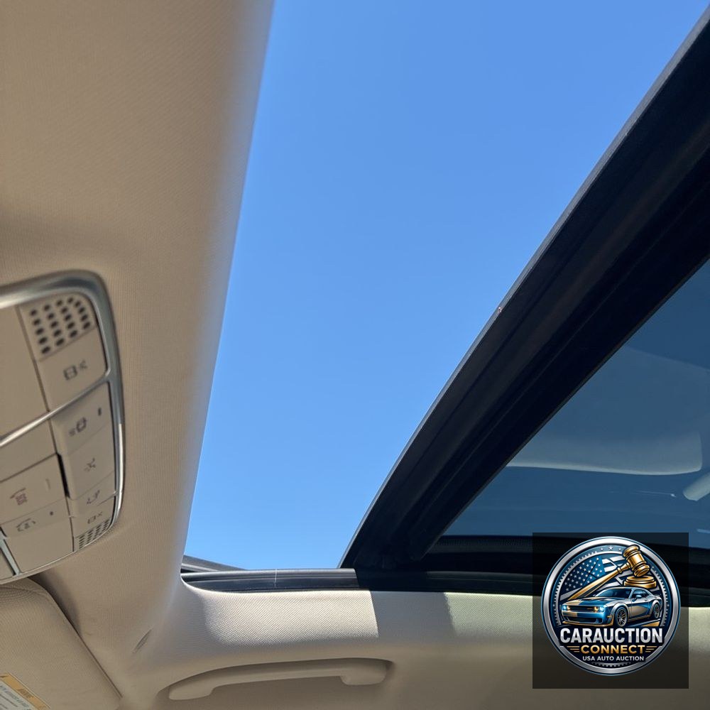 2019 Mercedes-Benz S-Class S 560