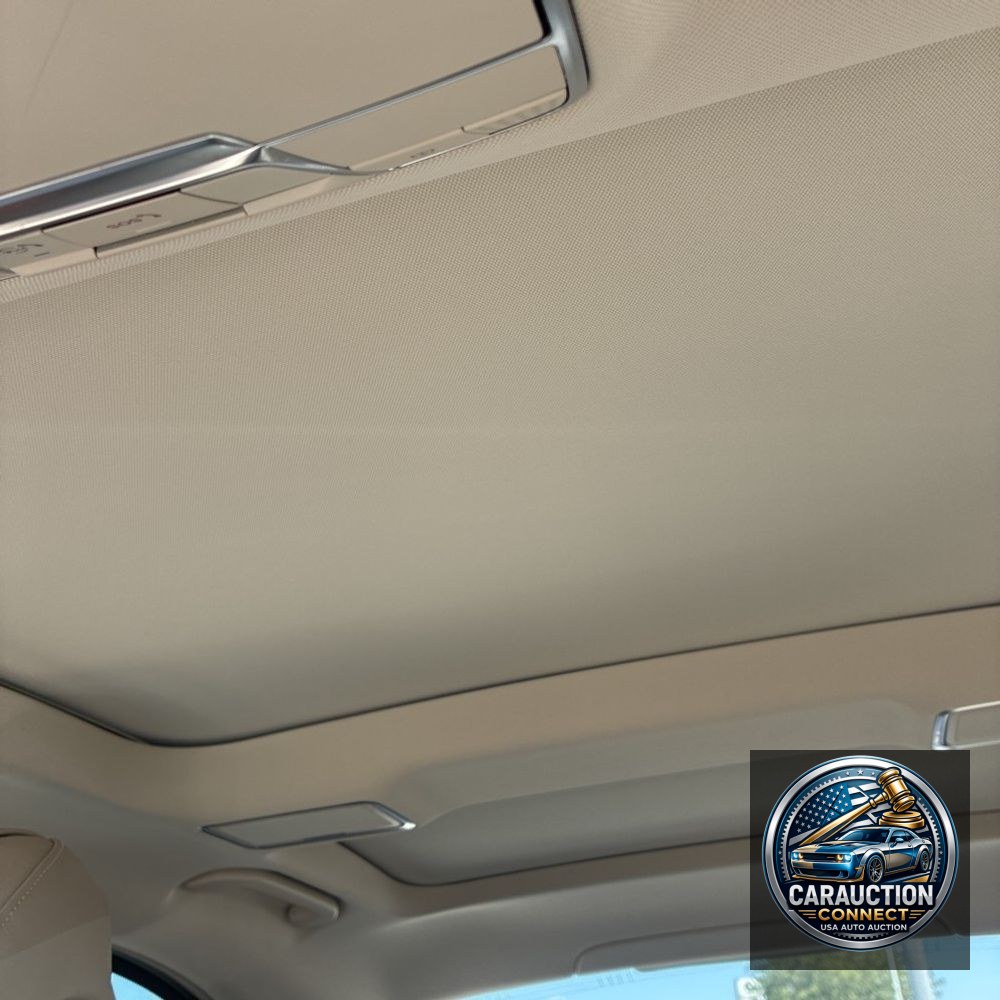 2019 Mercedes-Benz S-Class S 560
