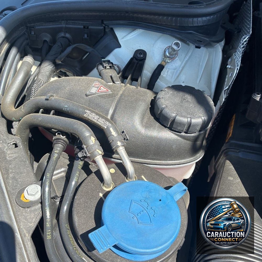 2019 Mercedes-Benz S-Class S 560