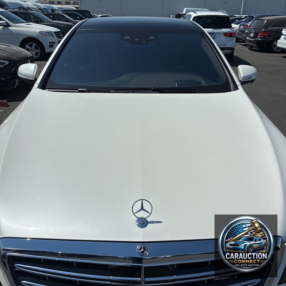2018 Mercedes-Benz S-Class Mercedes-Maybach S 650