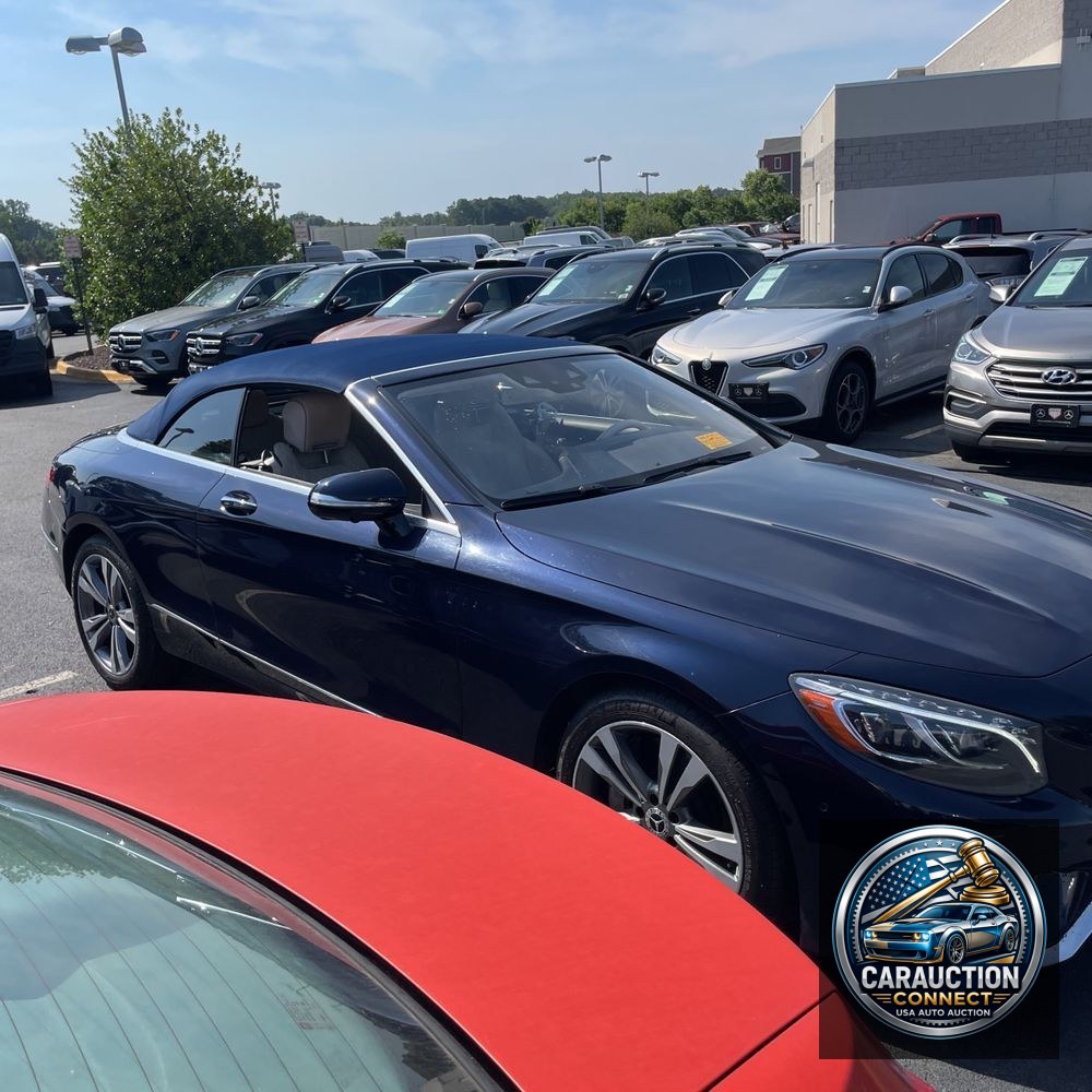 2019 Mercedes-Benz S-Class S 560
