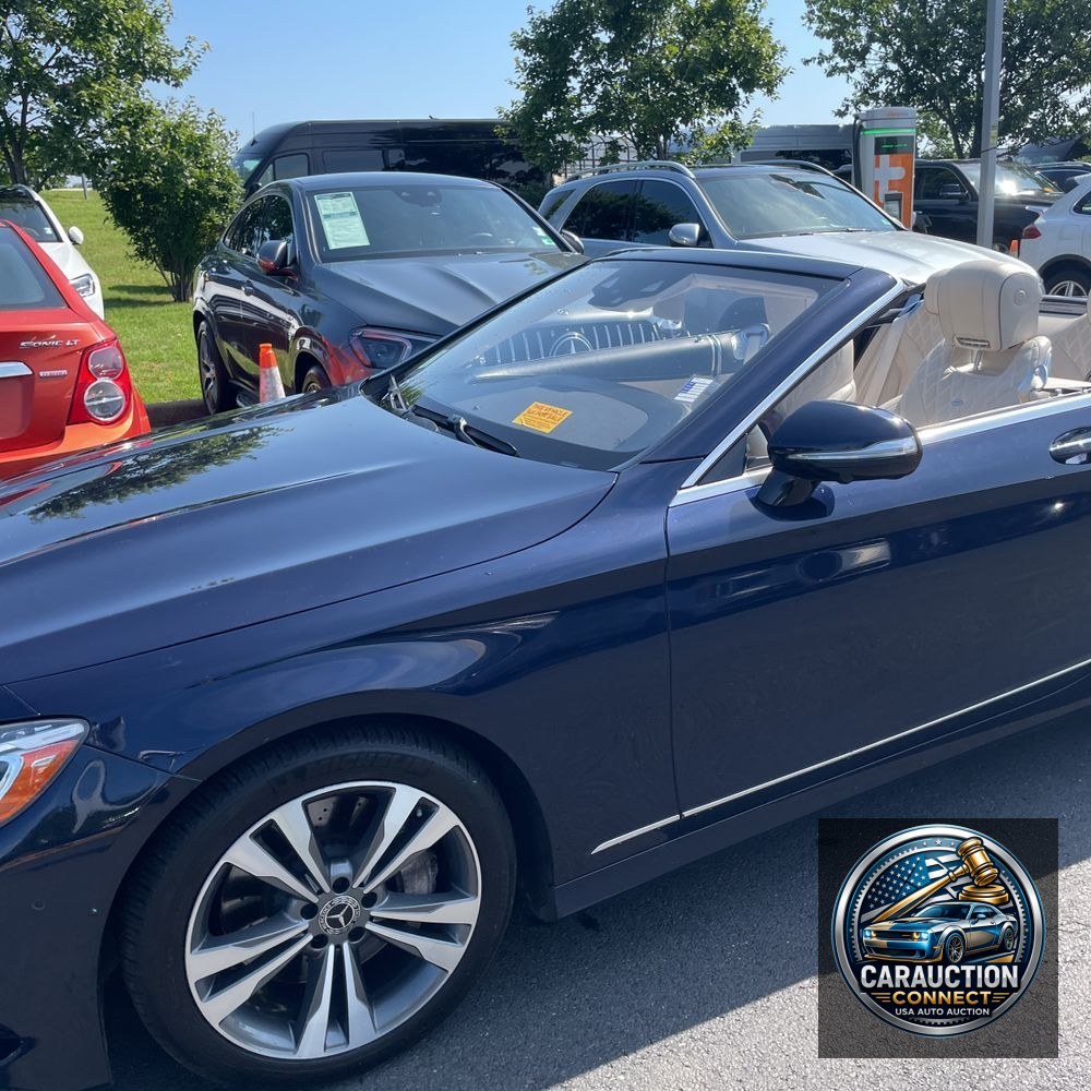 2019 Mercedes-Benz S-Class S 560