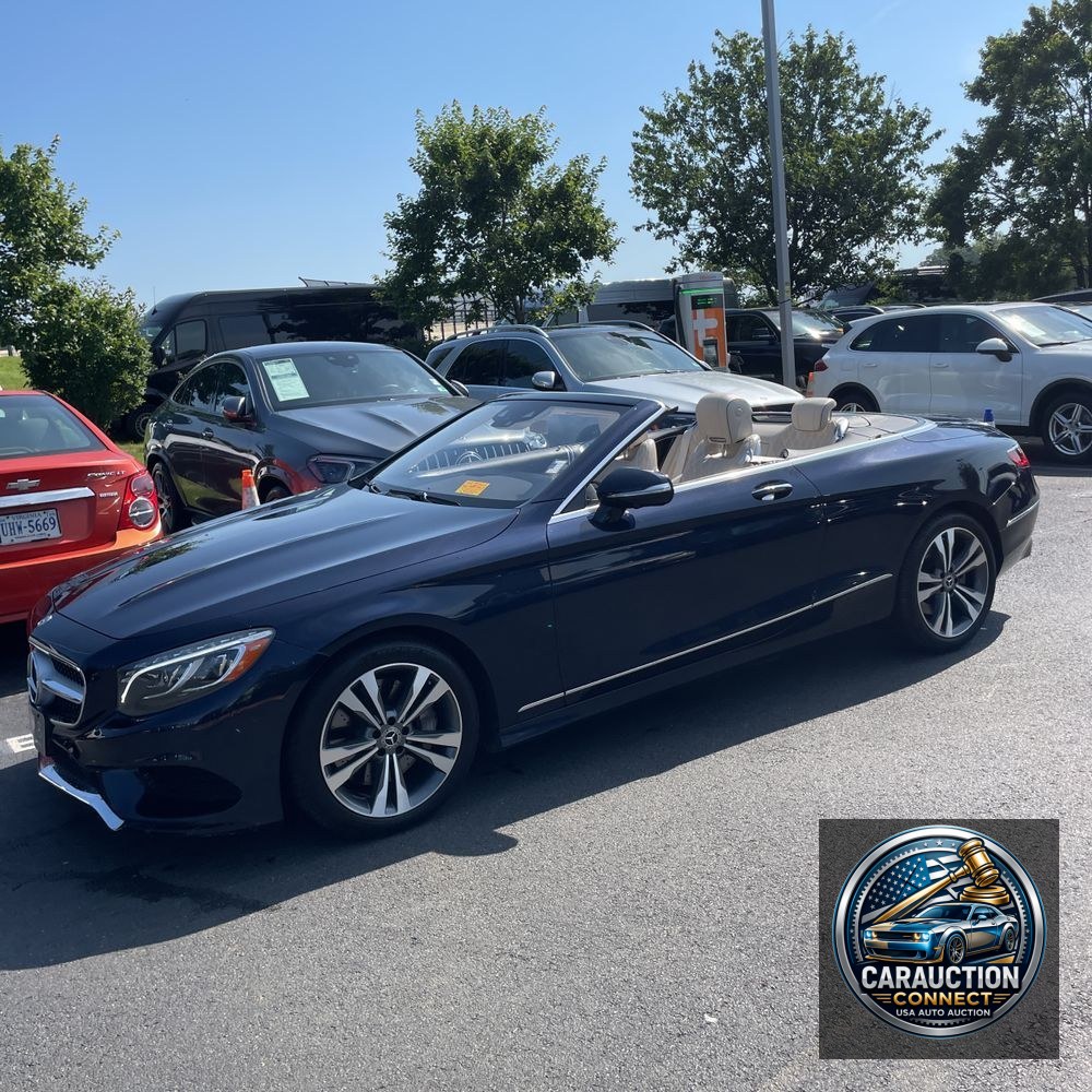 2019 Mercedes-Benz S-Class S 560