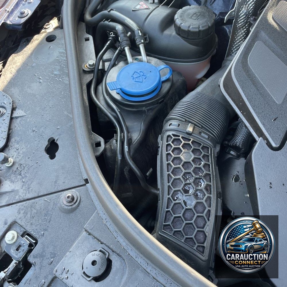 2019 Mercedes-Benz S-Class S 560