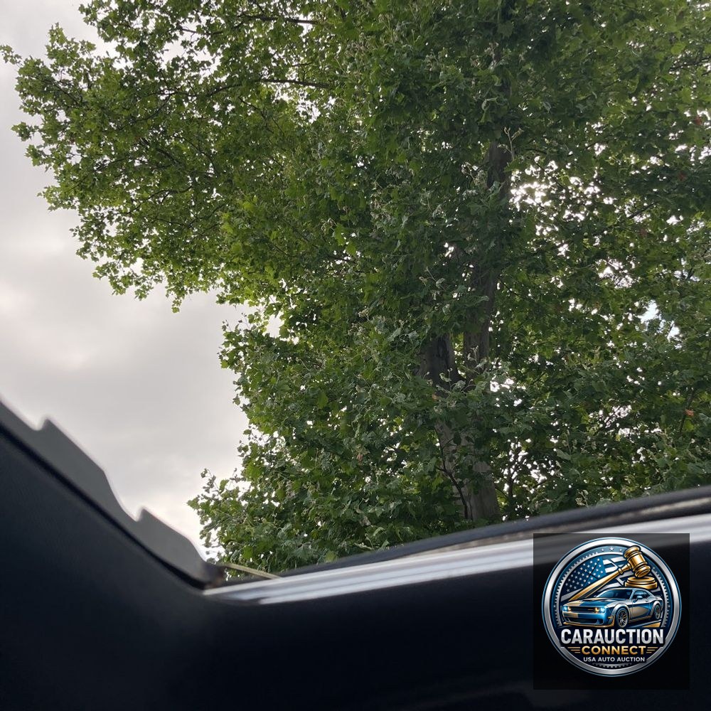 2018 Mercedes-Benz E-Class AMG E 63 S
