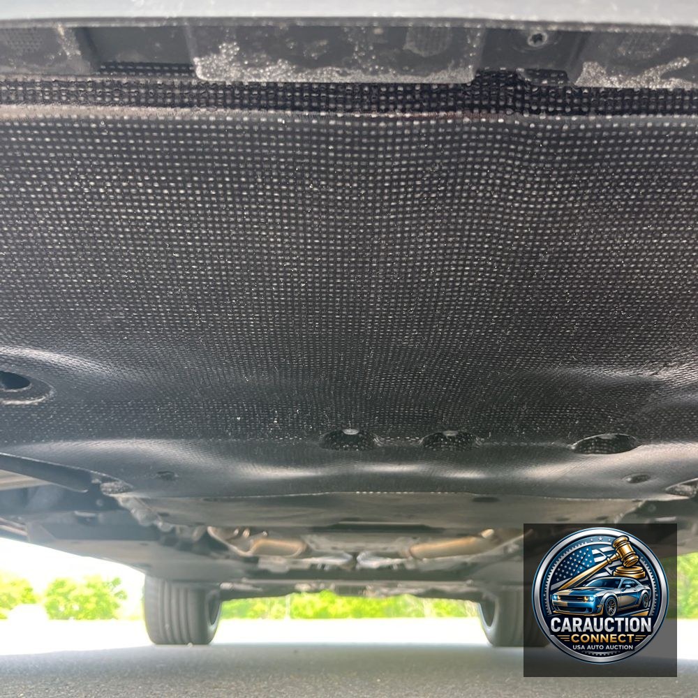 2024 Audi RS Q8 Base