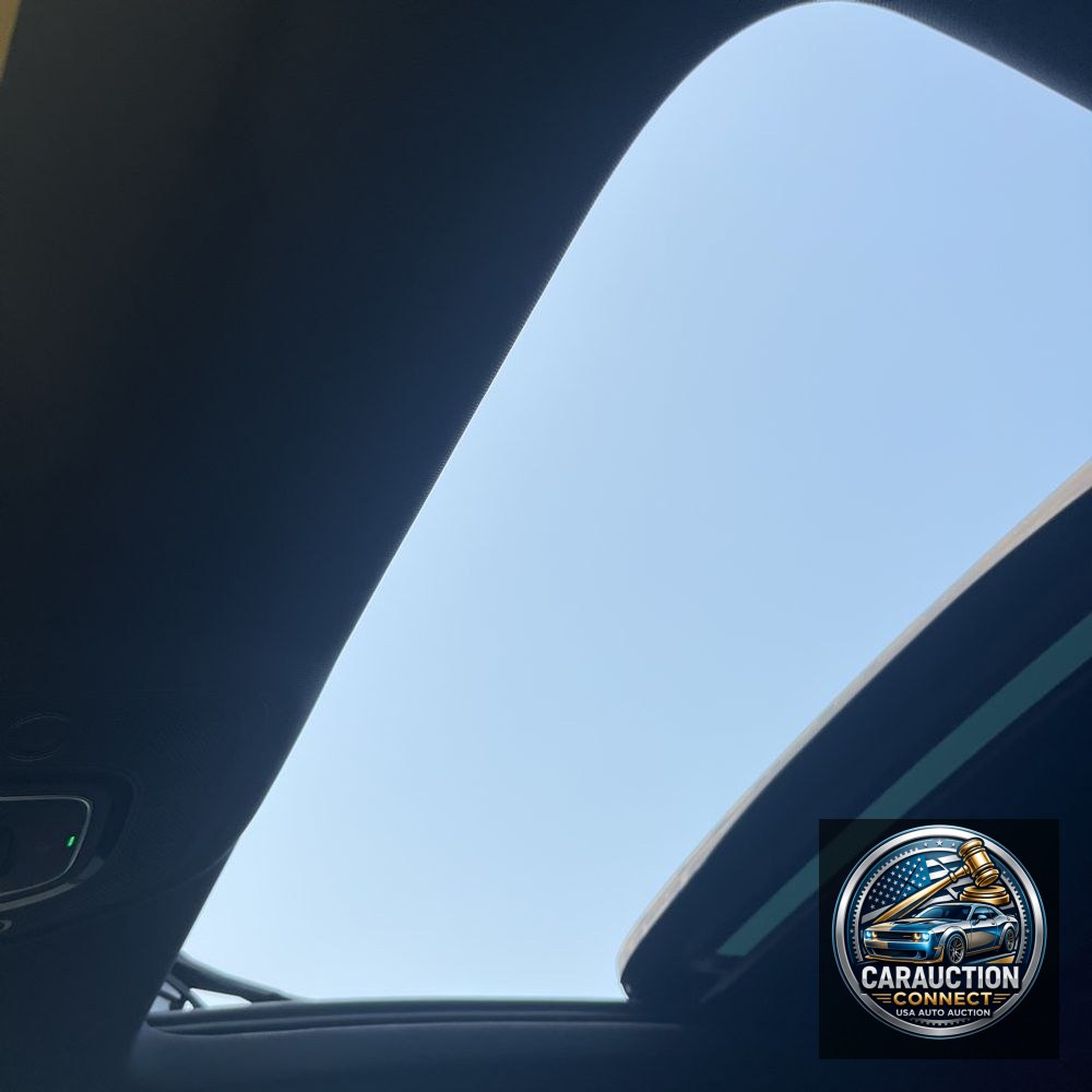 2024 Audi RS Q8 Base