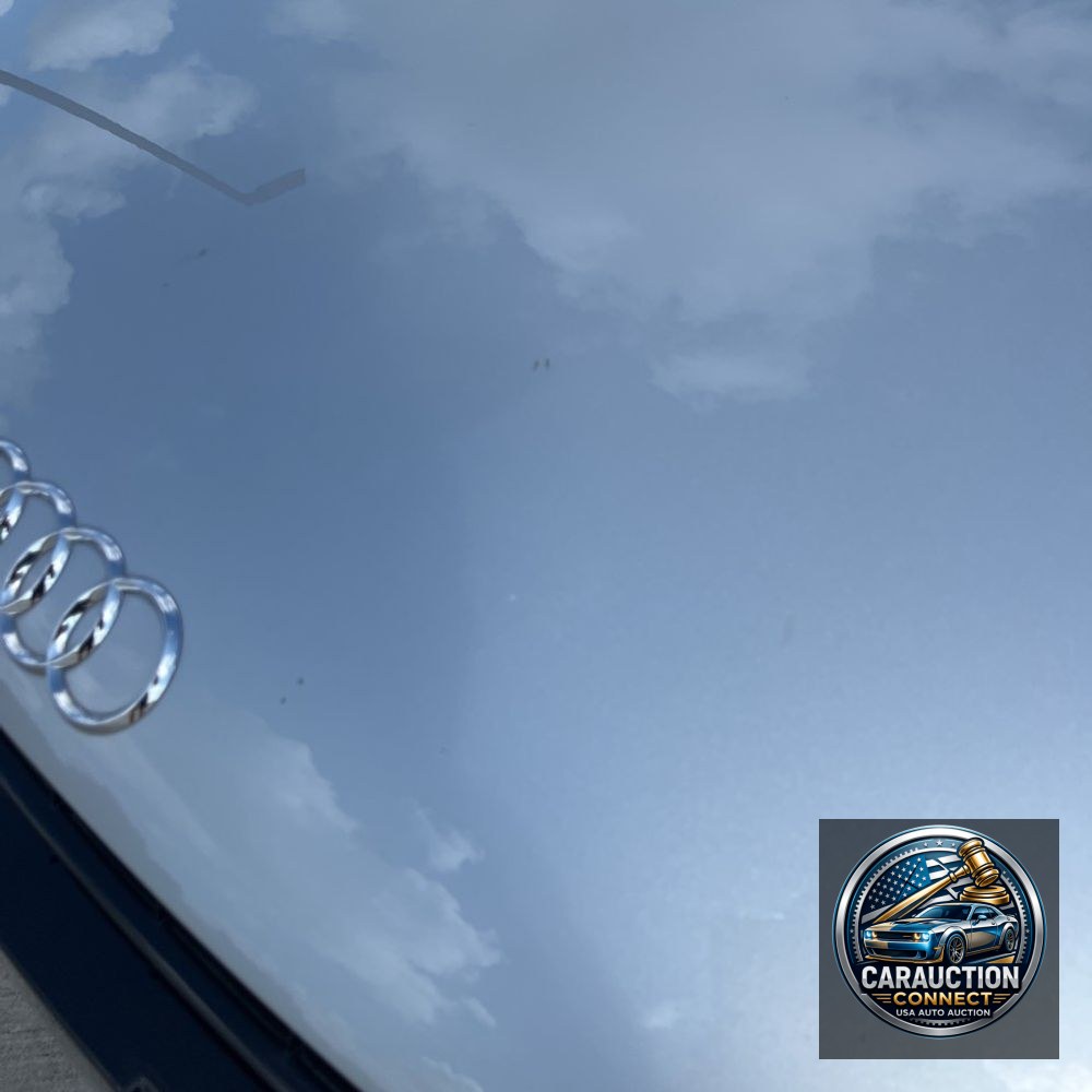 2009 Audi R8