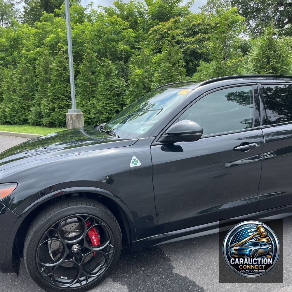 2024 Alfa Romeo Stelvio Quadrifoglio