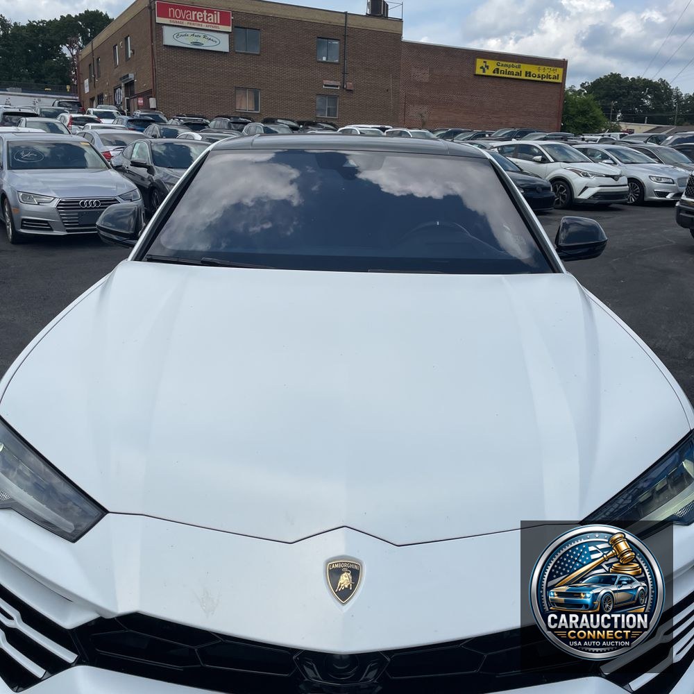 2020 Lamborghini Urus Base